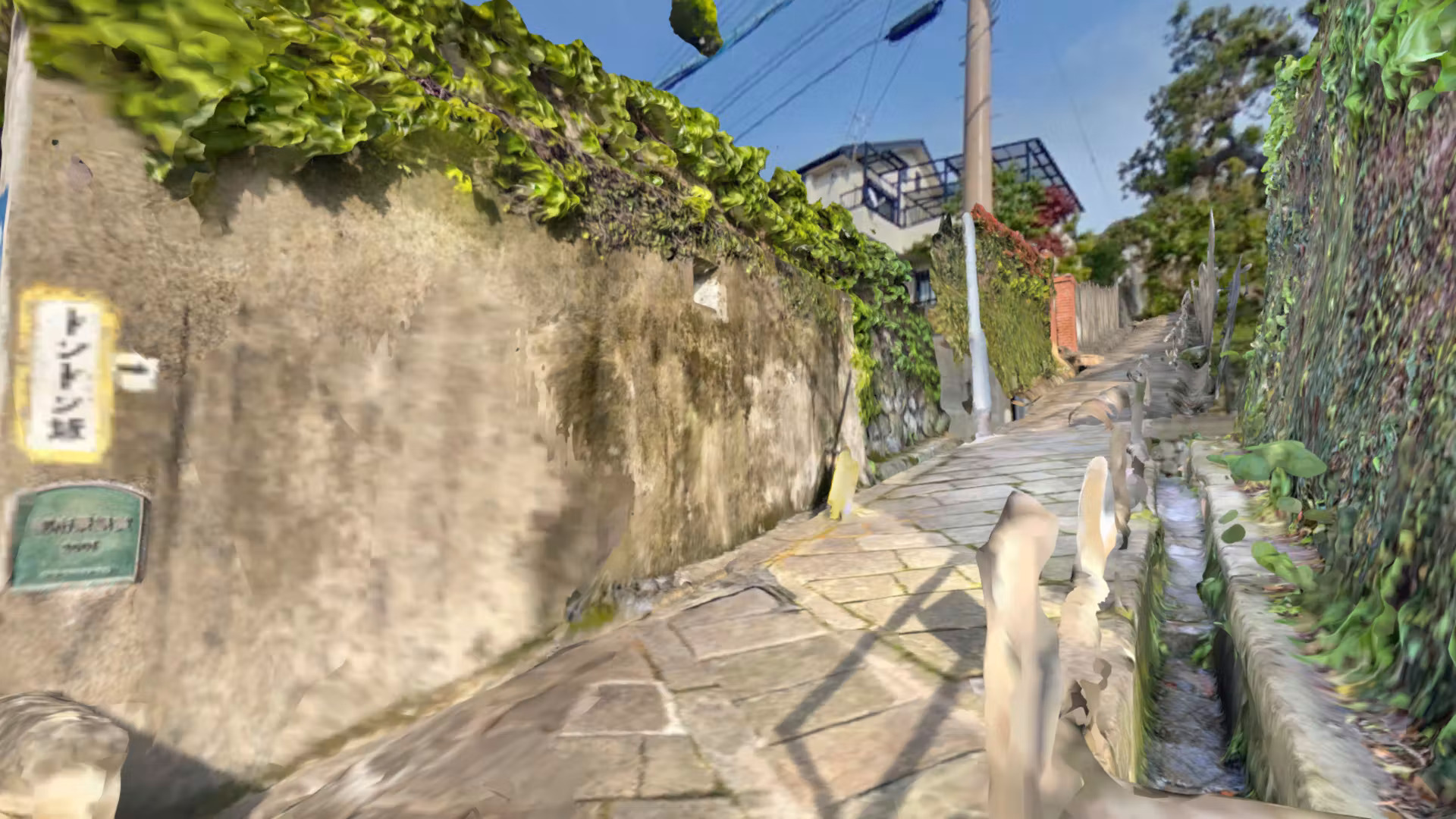 ワールド画像/world image